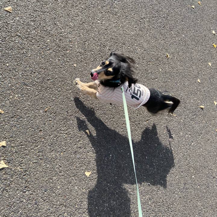 B38e7854 4102 46d9 824a 28d35bafdcff 1733994797995