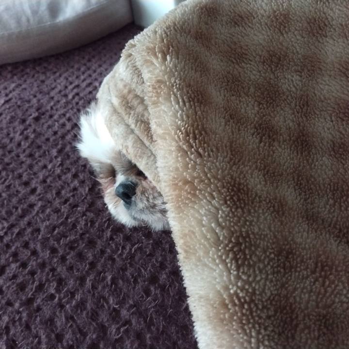 B38e8879 7b17 45ee 83fb 2e13e53eedf4 1652919795997