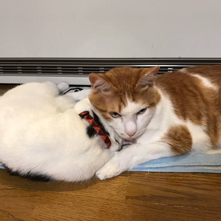 B38eb42a 339c 4862 8ed1 f6cb5d2633b7 1616317400109