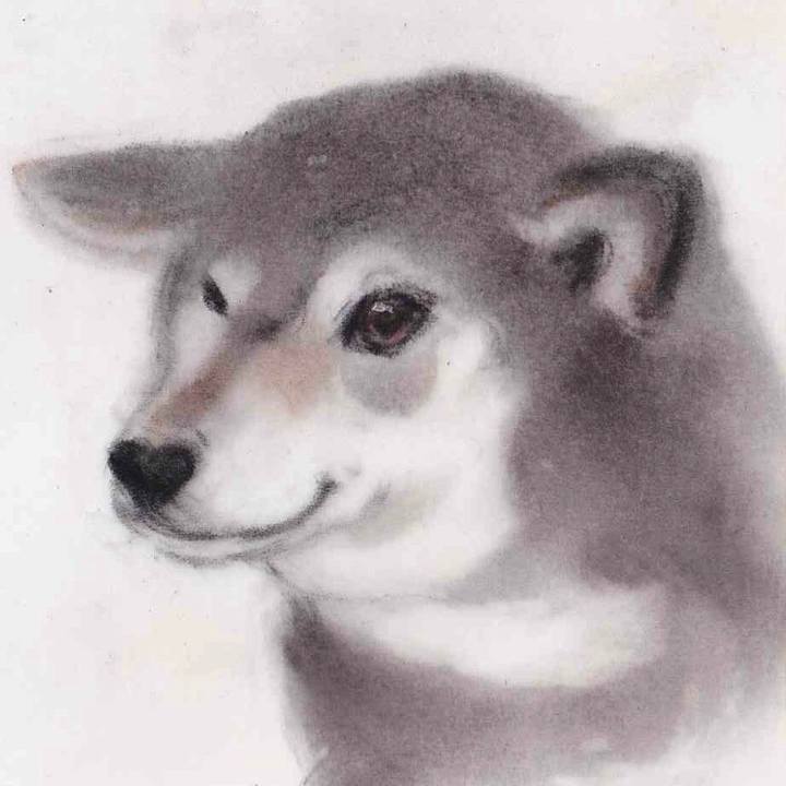 B38f0dde e39e 4027 9a91 6164683d408f 1643721853826