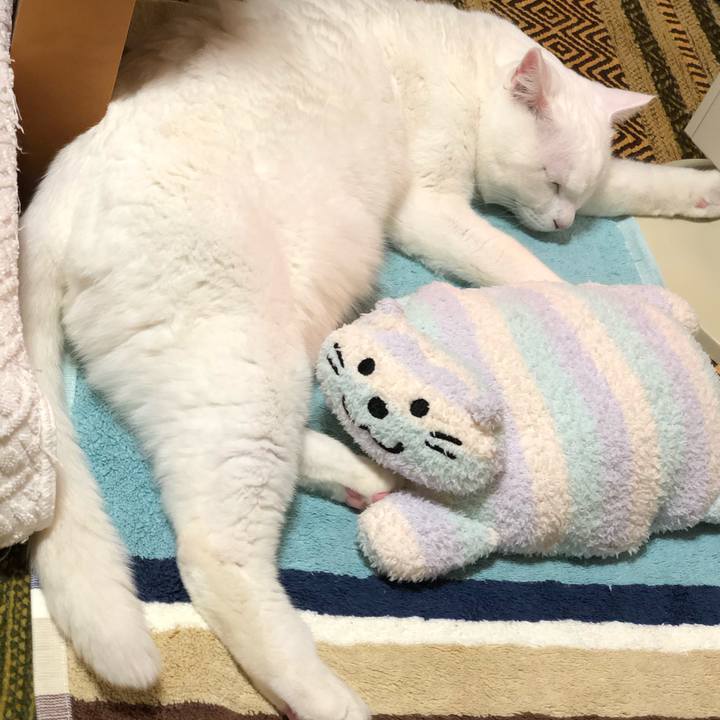 B38f59ab 79d0 4854 82ca ca9380705ad7 1604922794919