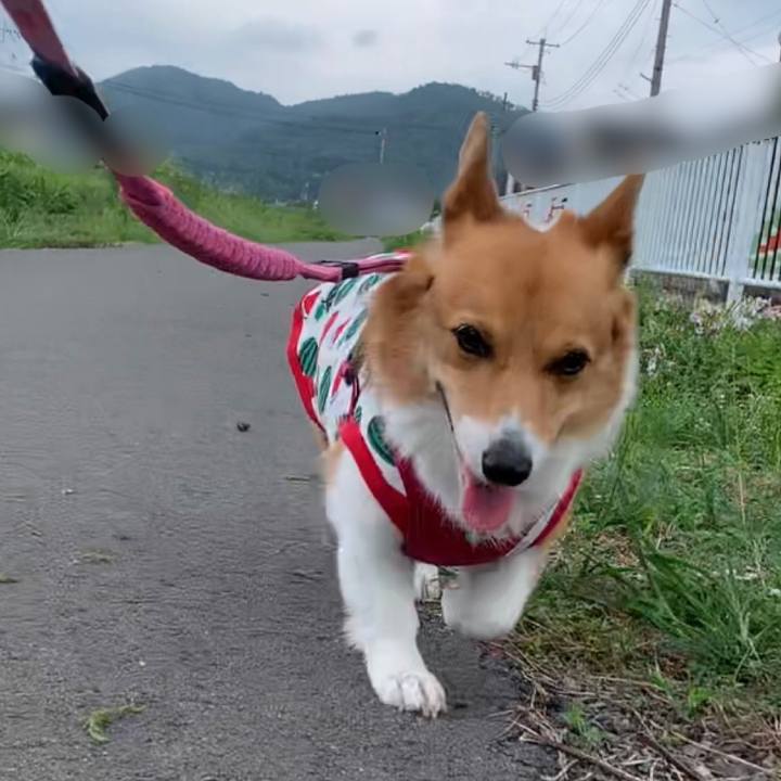 B38f5fd2 c8a8 4262 aa30 444acc84696b 1661302098502