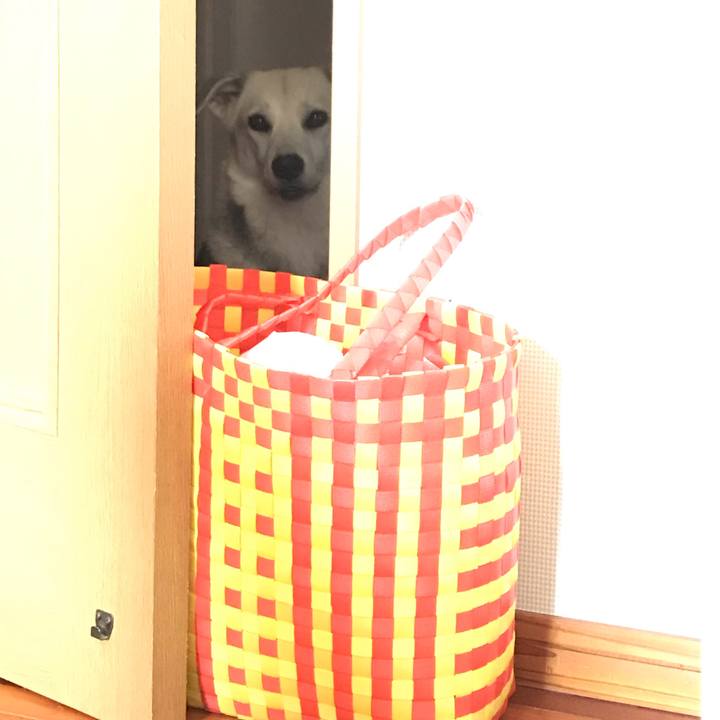 B38f690e 4759 47b9 8c85 de881ec88b18 1572688696568