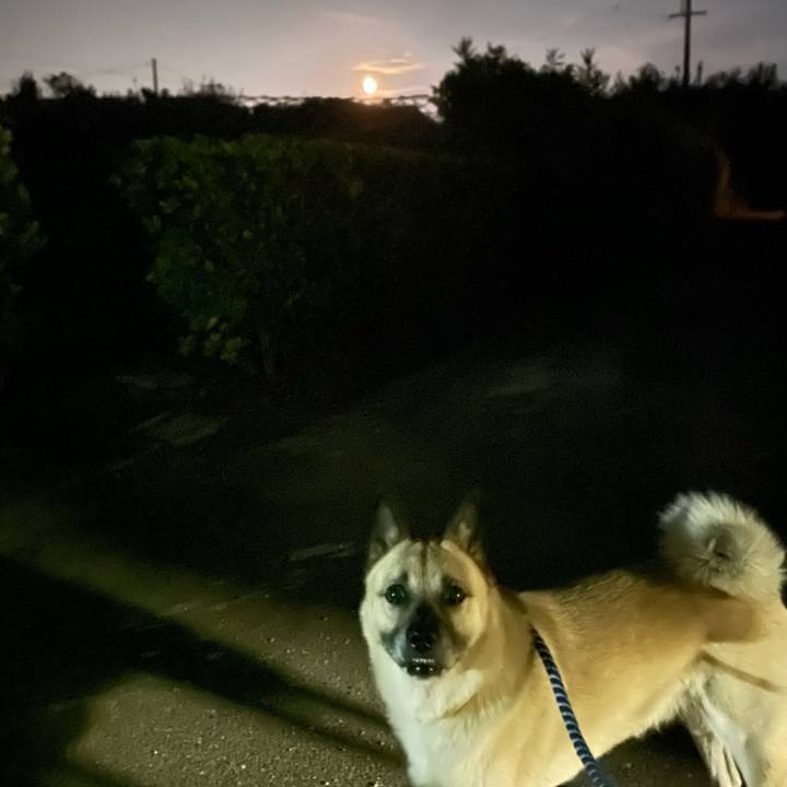 B38f8e33 2056 4121 98f5 8e6144cd44d1 1662985715021