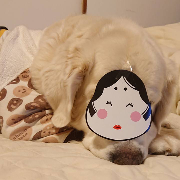 B38f946b caaa 4534 8190 812bab7ea9ba 1580735655926