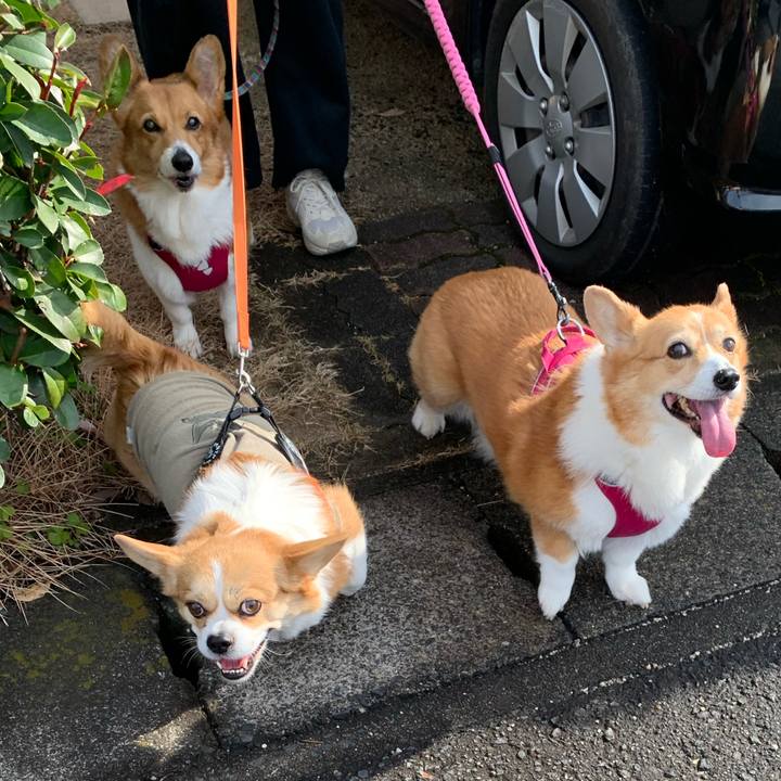 B38fa951 1d40 4bda 9327 48ce258ff817 1702699089023