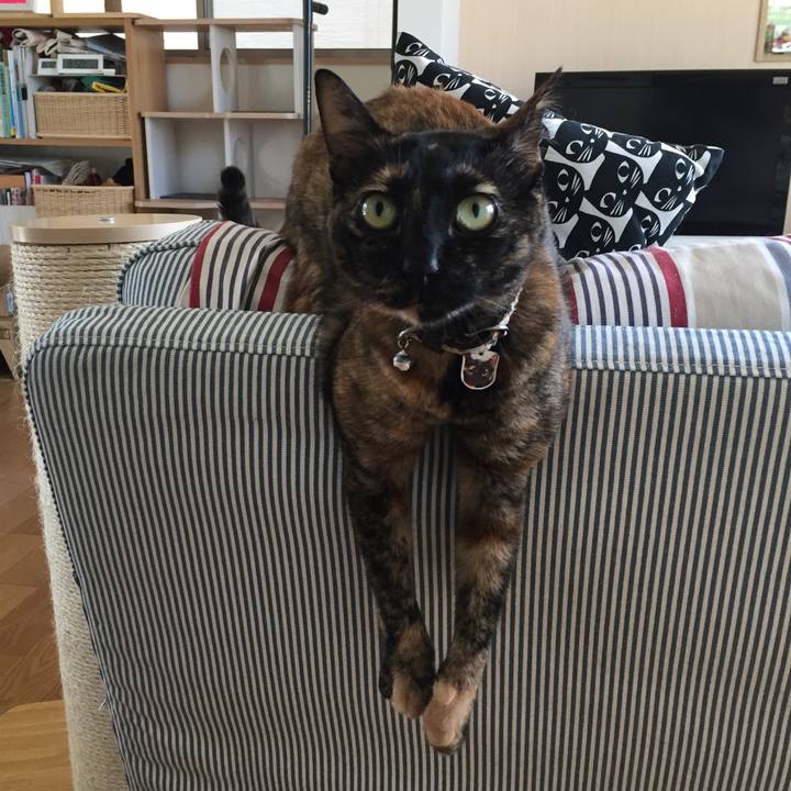 B3900ab2 ce20 4e6e 94d3 fe307a92c5b6 1530403629981