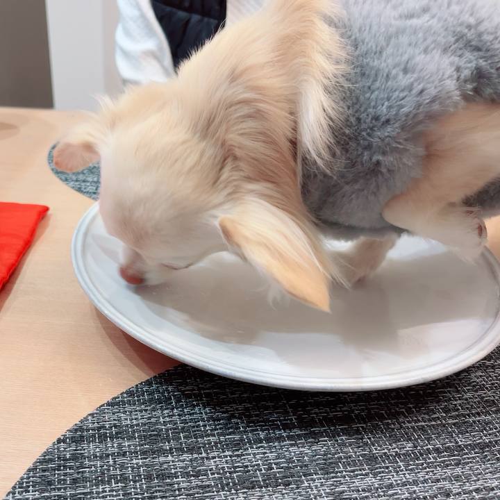 B390459f cc57 4527 b602 afa6b2ab8738 1709549136015