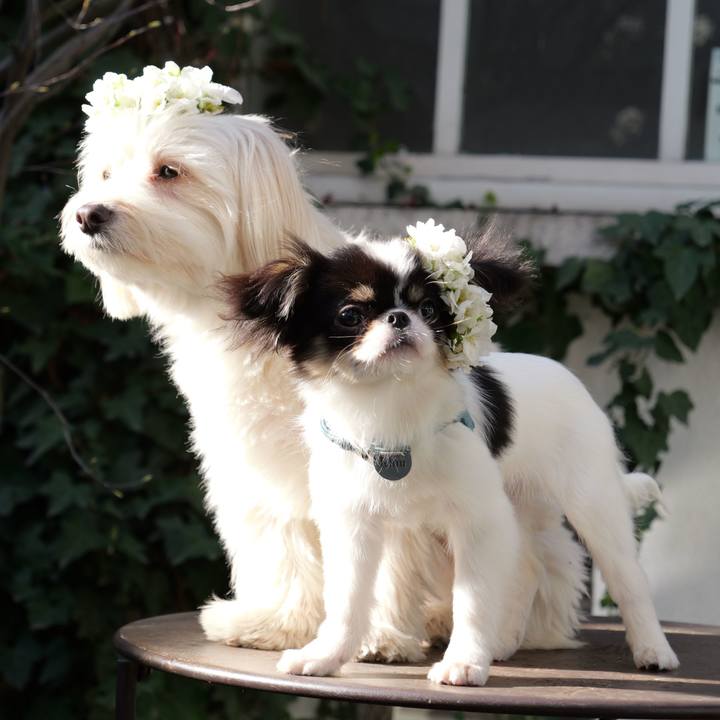 B390685c 5c4a 4be1 abc7 d6bd1ce64baa 1774073375775