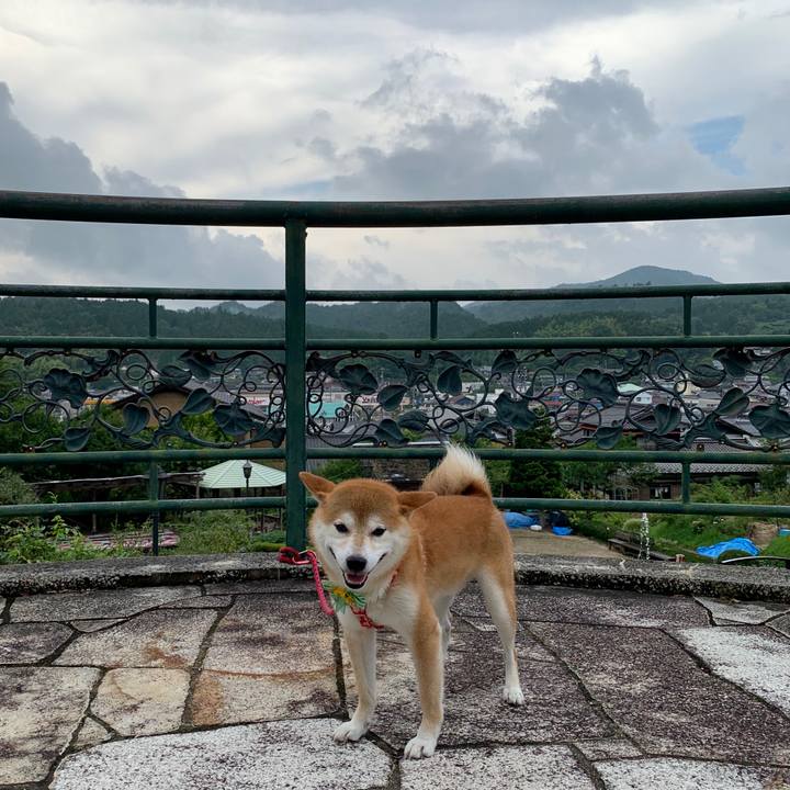 B3907145 793d 4f66 8042 2b85cc5e3935 1566290645836