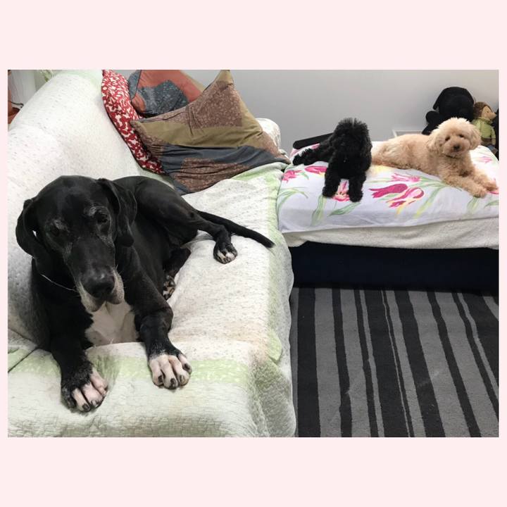 B3909410 9048 49ad 8c68 4d352bbd89dc 1536792327159