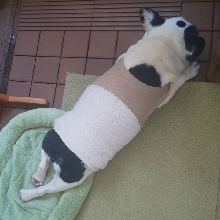 B390b1db f5d0 4293 8bbf 8978cd2e6e6d 1689607127572