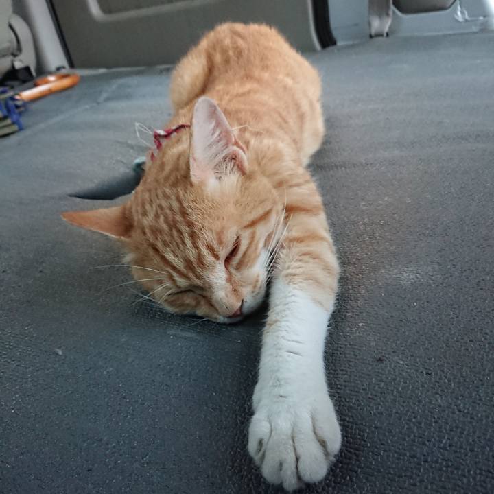 B3911c9b 4d28 4215 b0a3 94b37074df51 1561715389243