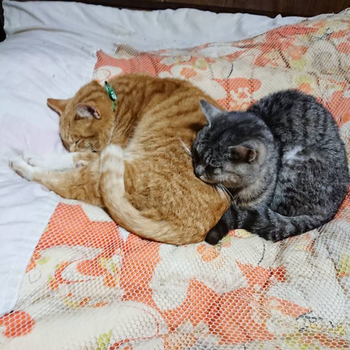 B3911cd4 7d91 4a9b 9f2e 24b3ead79a06 1581422610892