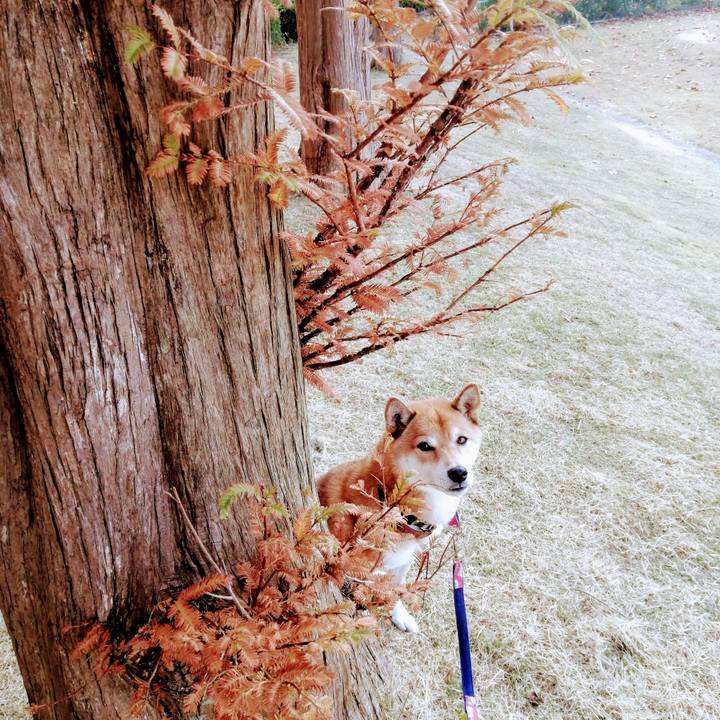 B3914f00 79c3 418c b201 675fba43facd 1605748449981