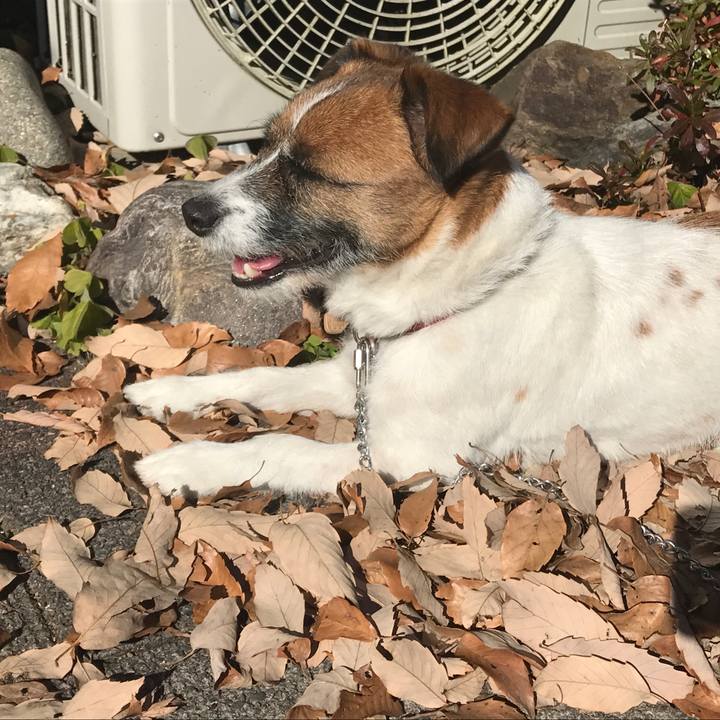 B3916abf 1a83 4712 8ad6 da4b18f44bc8 1515036717913