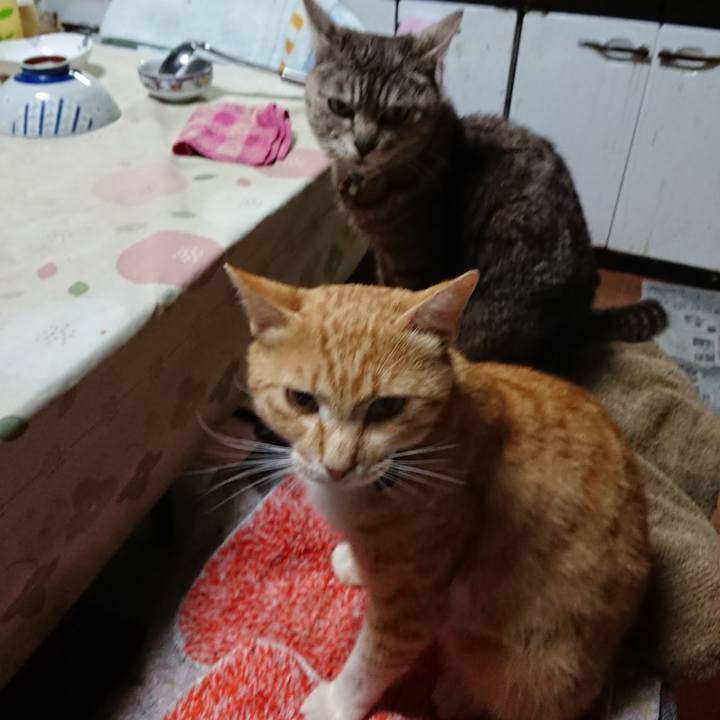 B3916fdb 451a 4db6 8db0 4ce14325ca6c 1560943631504