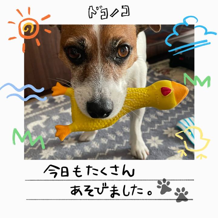 B3918ba8 c88b 4846 b177 afdeb35e6968 1755088664272