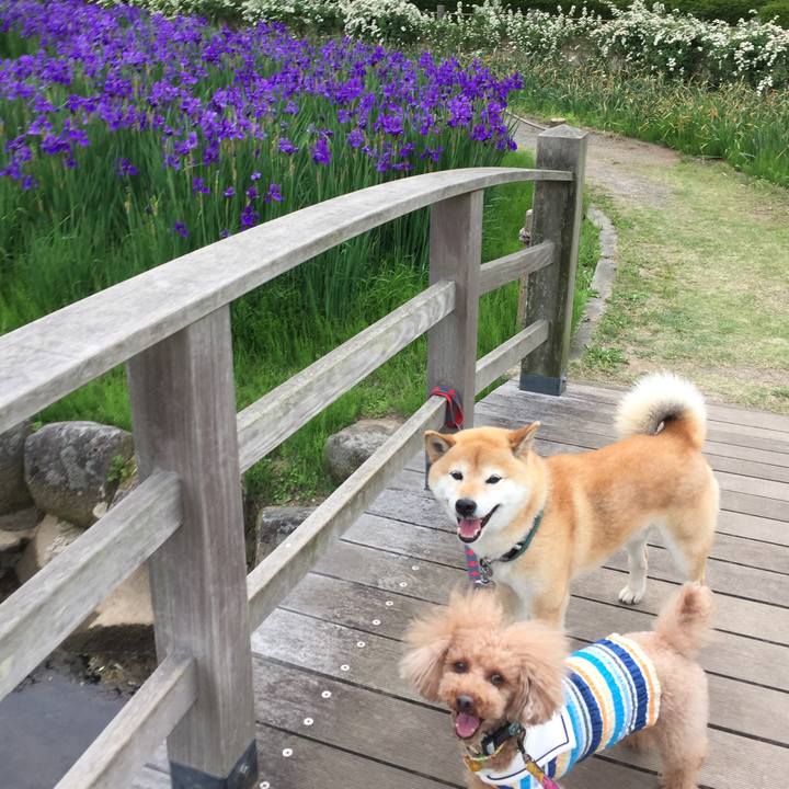 B39197e4 7ff8 4ed8 8d49 e460ee7d8b85 1525087212222