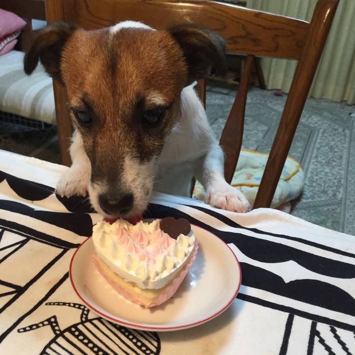 B391a134 e6cb 443a 8e83 4db421df952d 1512132483657