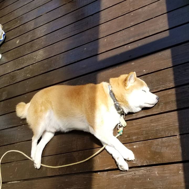 B391c1e7 b604 4bc1 9507 194e0b4453ba 1630983808459