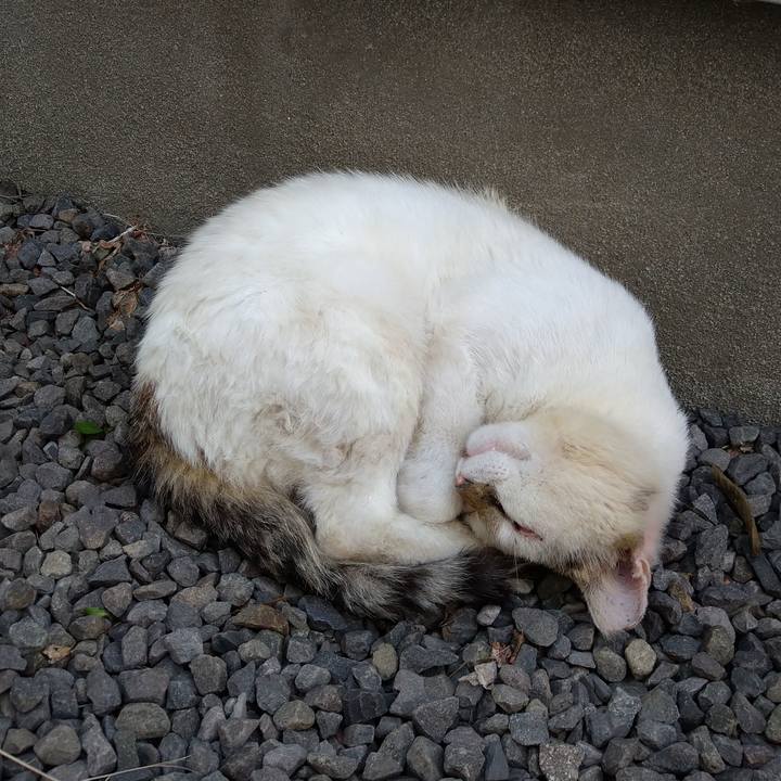 B391e752 c0a7 4fb1 924d fdca8df8926e 1596795908977