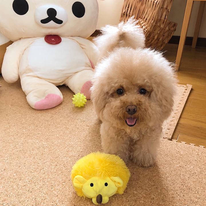 B391f954 bce3 403a 8d27 92c8de053dcd 1529579274136