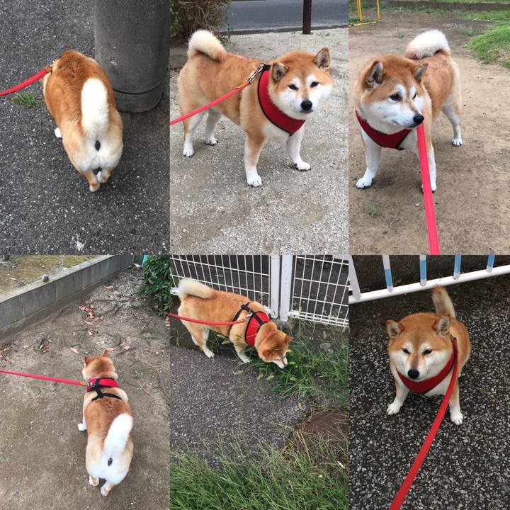 B3920d7f 273a 4a56 9065 0c0ad77deed7 1598915867607