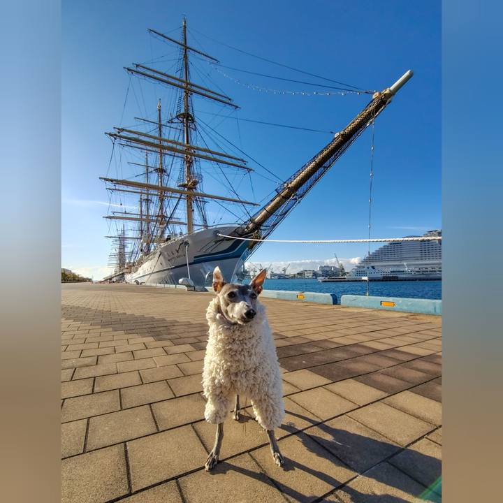 B3921a6a 84f6 4450 946d 97867f7e2061 1766823274540