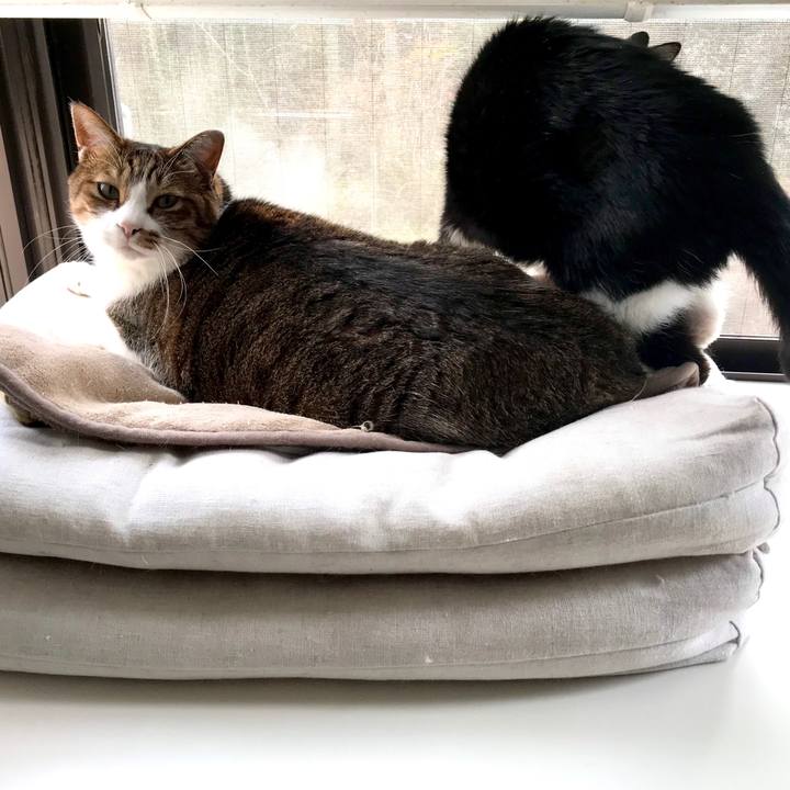 B3922b81 d135 4a17 9d33 1732babeaef4 1578470746589