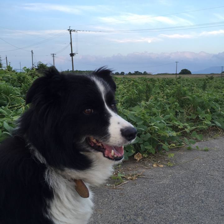 B3925968 9130 46a8 9dfb b94db3bee11f 1532810615234