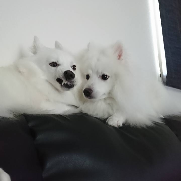 B392a112 3d83 47d3 afc4 ba948ba28b5c 1567483338583