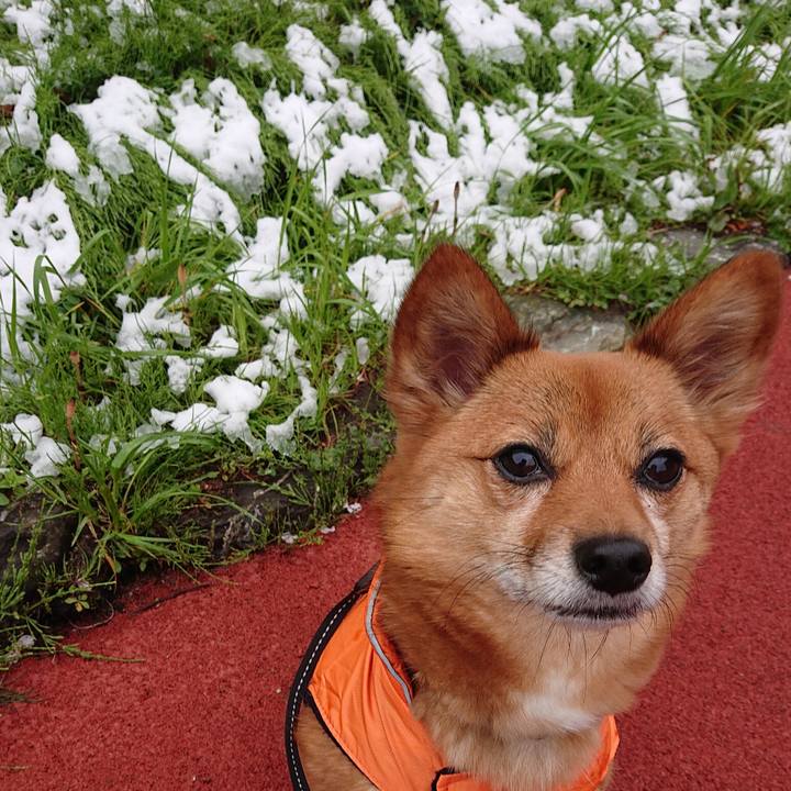 B392a7d2 5ffa 4733 a61f ace5c996460f 1585478326732