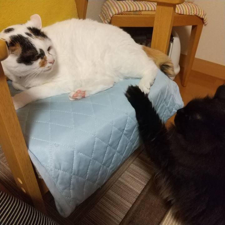 B392c641 fca1 46ef bd37 0667fa492f98 1624620851917