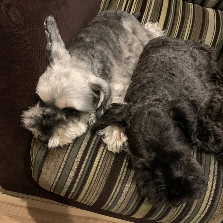 B392c995 a3dc 4720 93f2 29a6812e784f 1629110818291