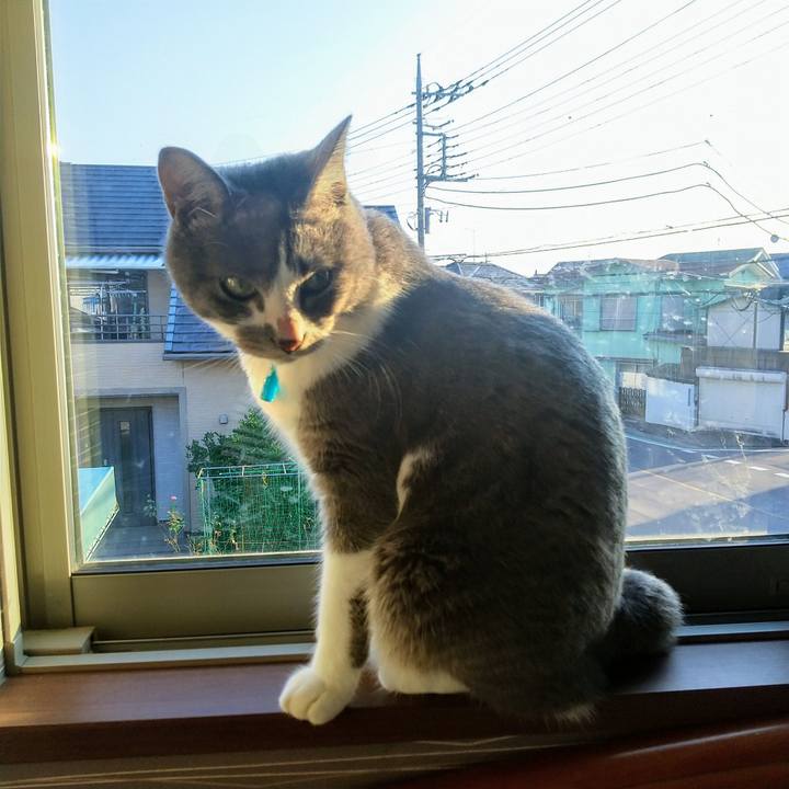 B39315a4 941a 47b1 b89b 9933464d6ee2 1626905107987