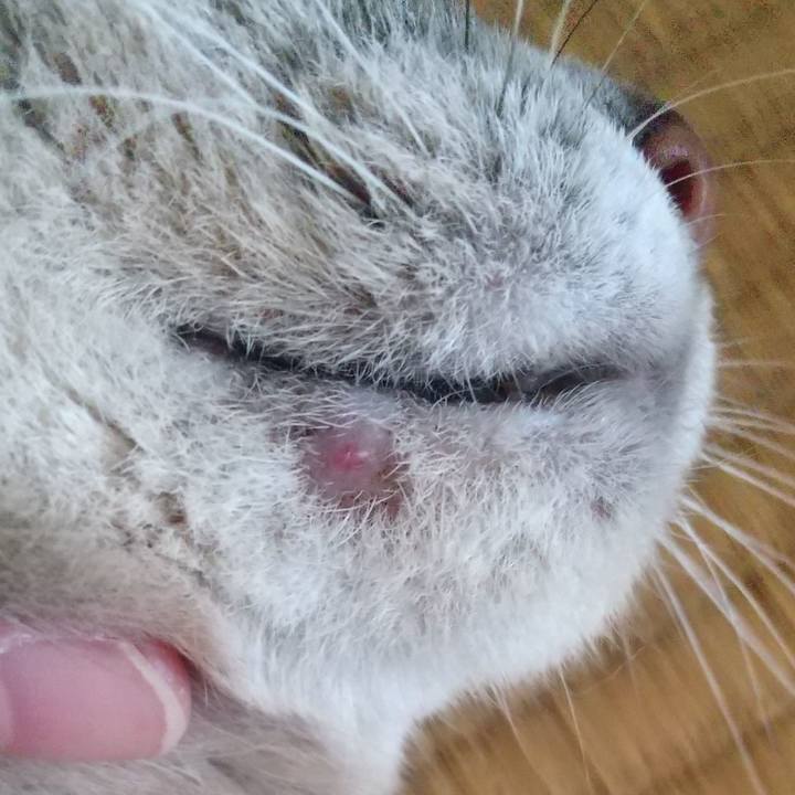 B3931fdb 693b 4d49 8601 66ee19a24090 1633927482158