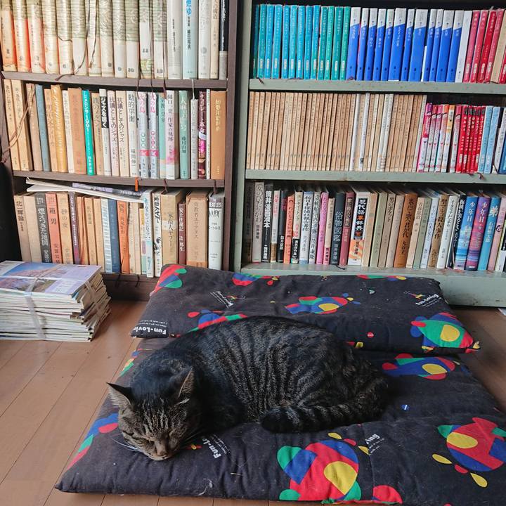 B393942e b346 4f52 99db 7b9a409c696e 1663279079825