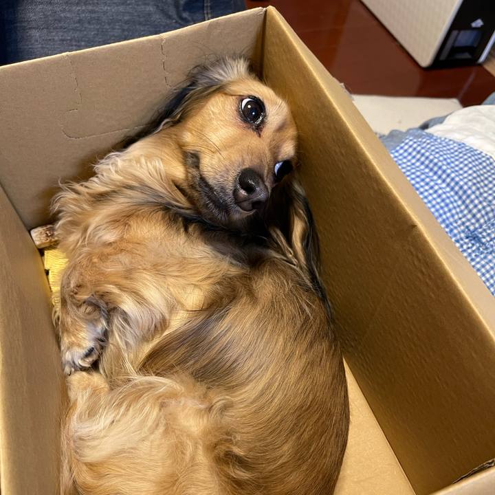 B393b8fa 1620 4220 9d92 84869380dcc9 1708419354165