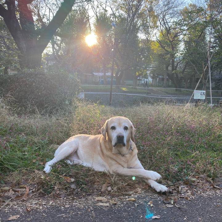 B393bd81 22c6 45c2 a909 cd0a8ddd4d21 1698619561130