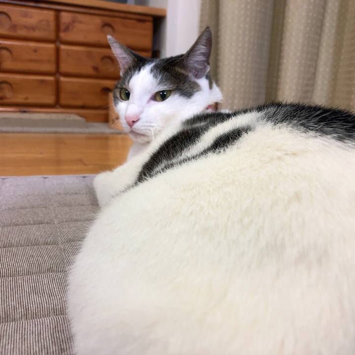 B393da63 c1eb 4ace a467 b418460cd888 1637152263317