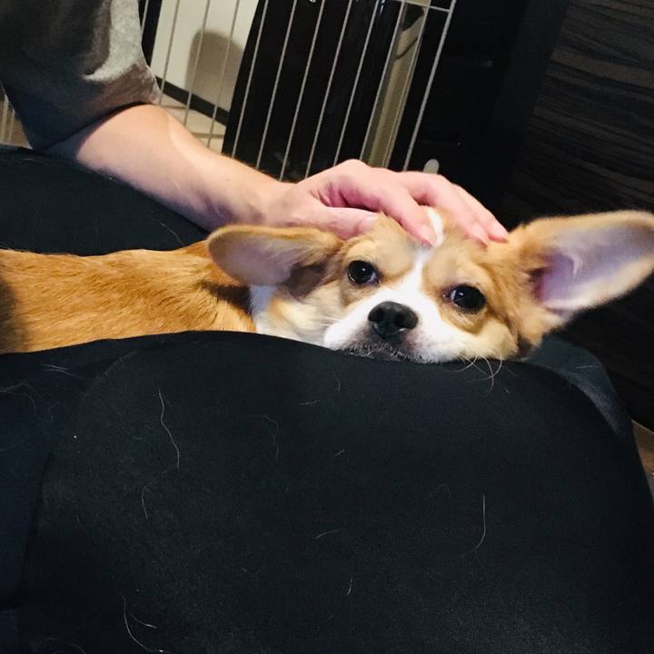 B393e679 fe2b 431c 8f99 d00f697844e1 1569113263311