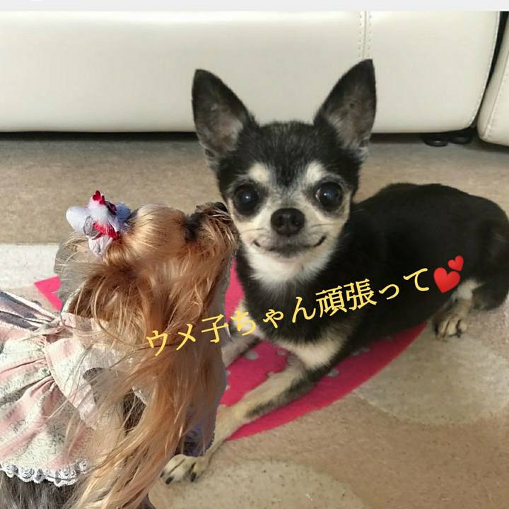 B393faf0 7ba0 4af0 91b5 51d8b12882e7 1585128697443