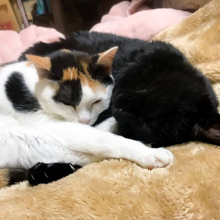 B3941323 1483 4e06 a82f e726057341e2 1522331557913