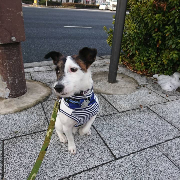 B3943972 d4de 43a2 acde 9ff4e1b4a392 1517613626095