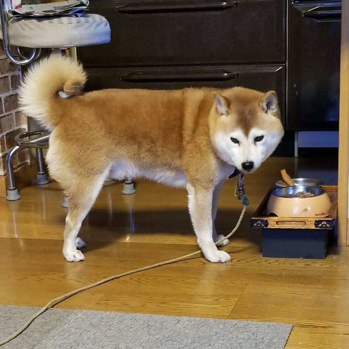 B39458da be8a 446a bd5e 3f9a65e8d76d 1637651242621