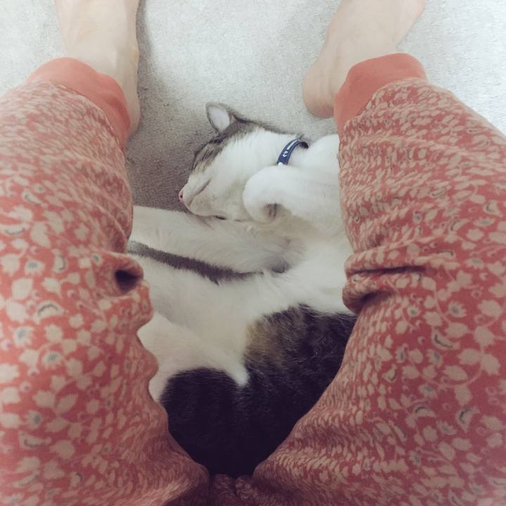 B3947d6b f03d 4926 a0be 87ac4285f4ed 1537799382403