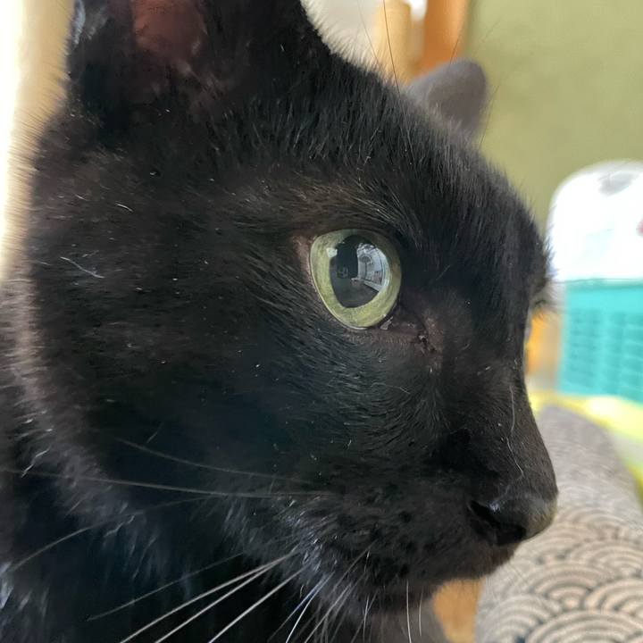 B3948274 a8e2 4e8f 9efc 9b9fb1e081d7 1660959876209