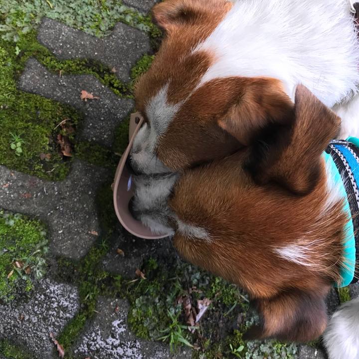 B394a7e6 1de9 492f bc2d b2c995ebb7fa 1507721875983