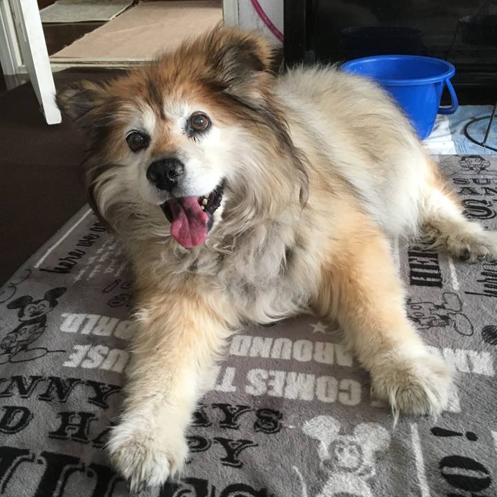 B394aef2 80aa 4b2d bc27 b38dd94d2eb3 1592203817920